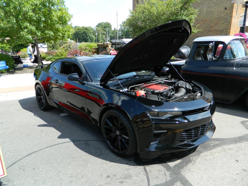 dscn7138.jpg
