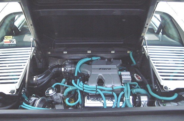 ivoryfiero2.jpg