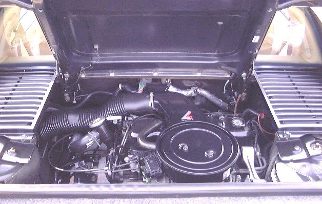 photo4.jpg