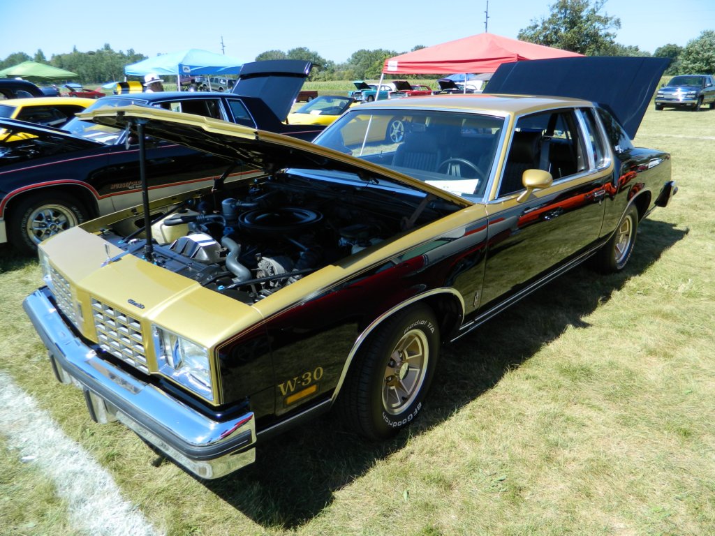 dscn3356.jpg