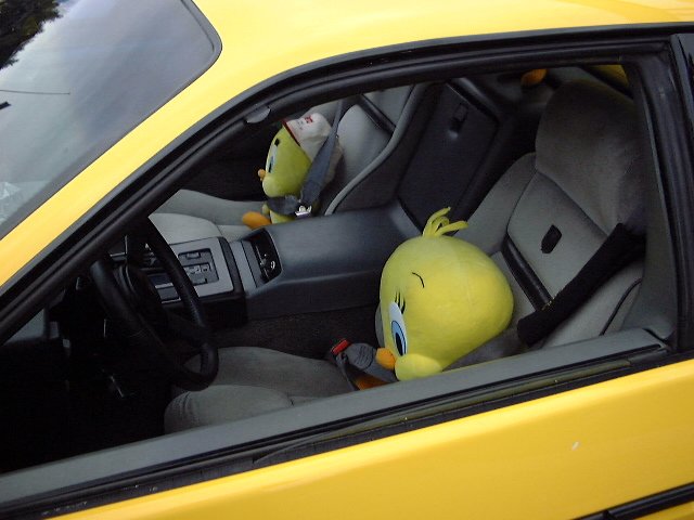 dscf0081.jpg